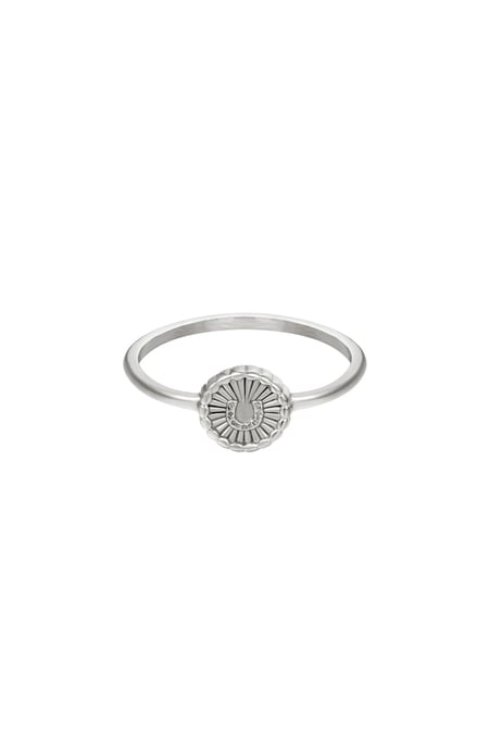 Ring stralend hoefijzer Zilver Stainless Steel 16 2