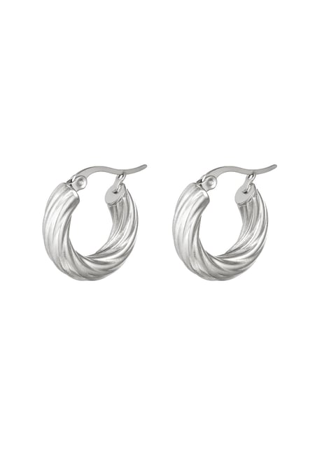 Earrings Curly Hoops Silver Color Stainless Steel 2