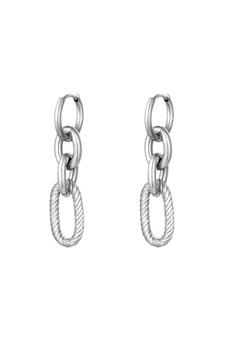 Oorbellen Spicy Zilver Stainless Steel 2