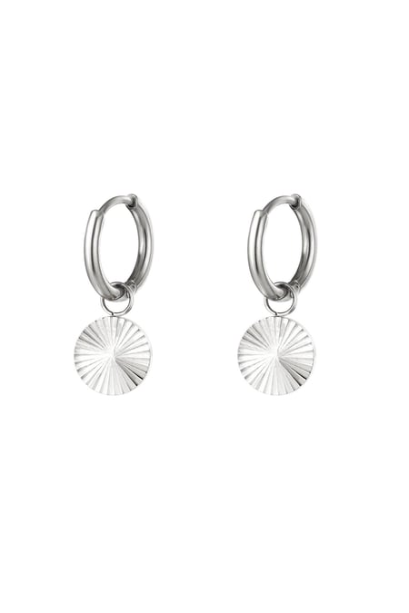 Boucles d'oreilles en acier inoxydable cercle Argenté 2