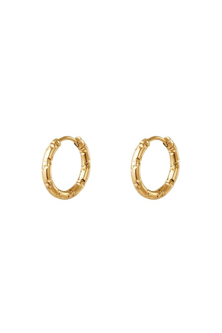 Orecchini a cerchio in acciaio inossidabile Gold Stainless Steel 2