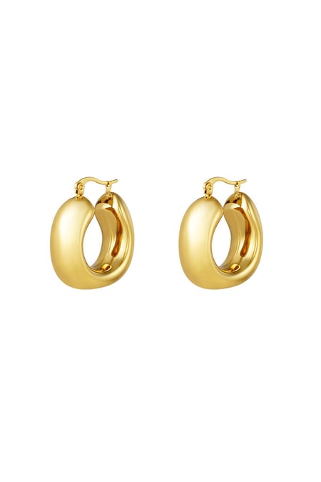 Stoere oorringen Goud kleur Stainless Steel 2