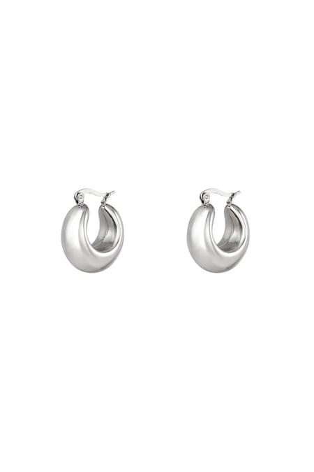 Stoere oorringen klein Zilver Stainless Steel 2