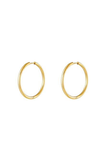 RVS oorbellen hoops klein Goud kleur Stainless Steel 2