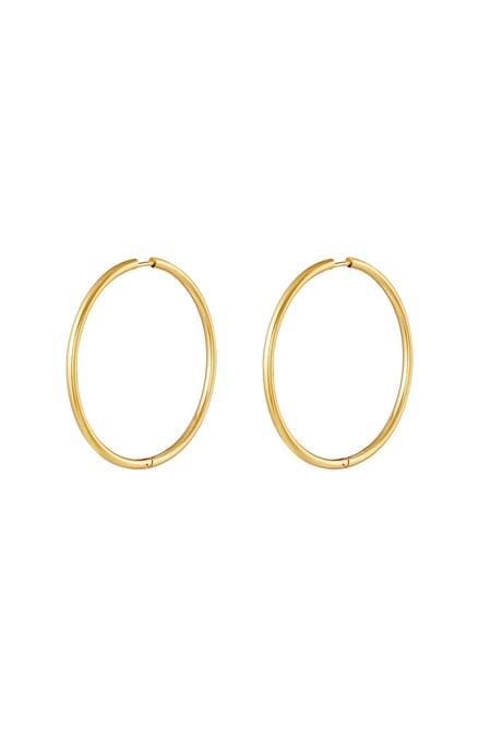 RVS oorbellen hoops medium Goud kleur Stainless Steel 2