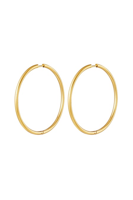 RVS oorbellen hoops groot Goud kleur Stainless Steel 2