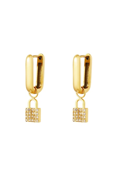 stainless steel earrings secretive lock  2