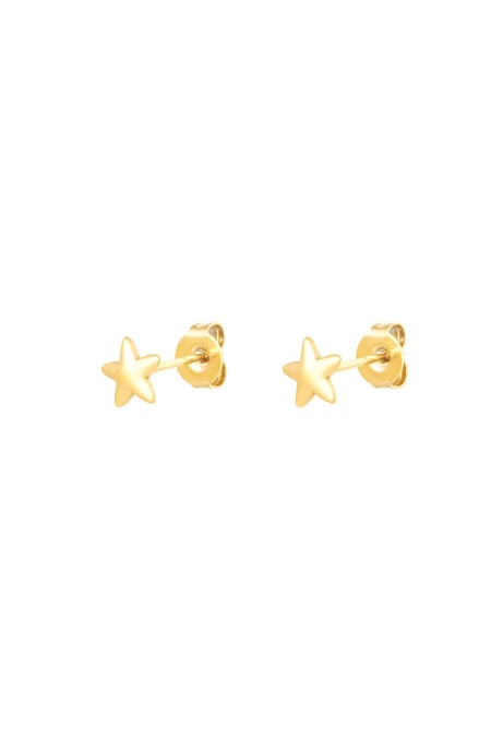 Orecchini a perno Stella Gold Stainless Steel 2