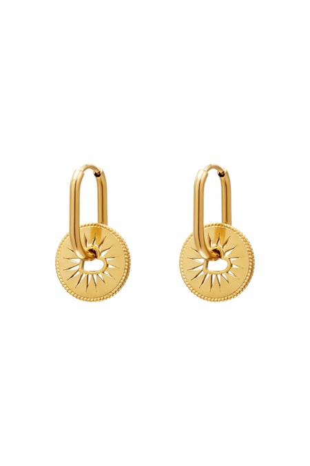 Kalp madeni paralı paslanmaz çelik küpeler Gold Stainless Steel 2