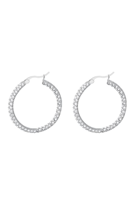 Round zircon earrings - large Silver Color Stainless Steel 2