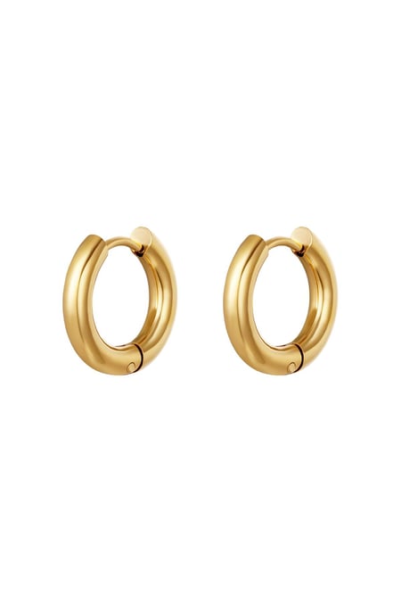 Boucles d'oreilles créoles basiques - petites Acier inoxydable 2