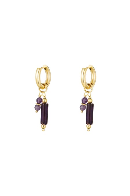Earrings with stone charms Purple Stainless Steel 2