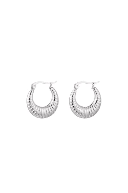 Earrings basic with print Silver Color Stainless Steel 2