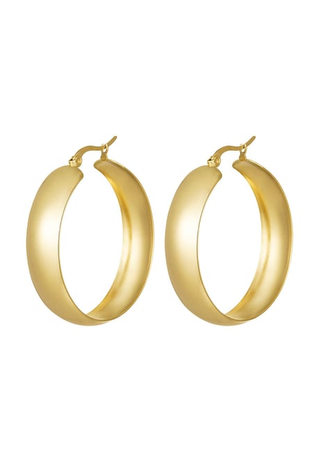 Boucles d'oreilles en acier inoxydable chic 2