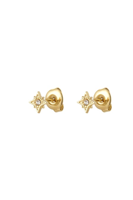Ear studs star with strass Gold Color Stainless Steel 2