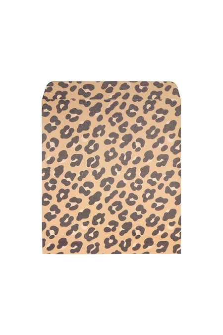 Gift Bag - Brown Paper 2