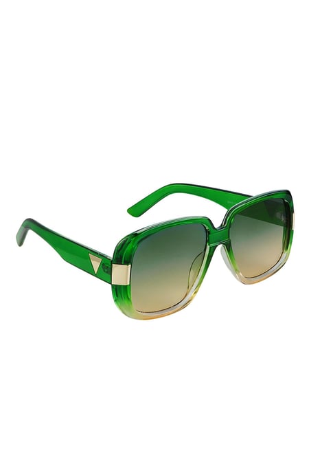 Lunettes de soleil basiques avec détails dorés Vert PC Taille unique 2