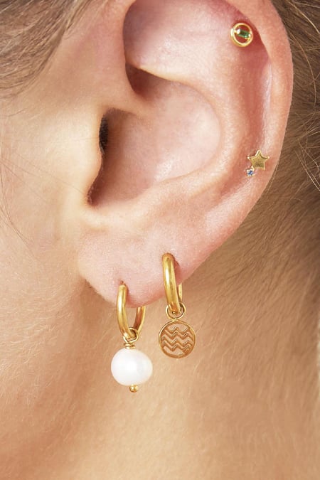 Oorbellen Wave Zilver Stainless Steel