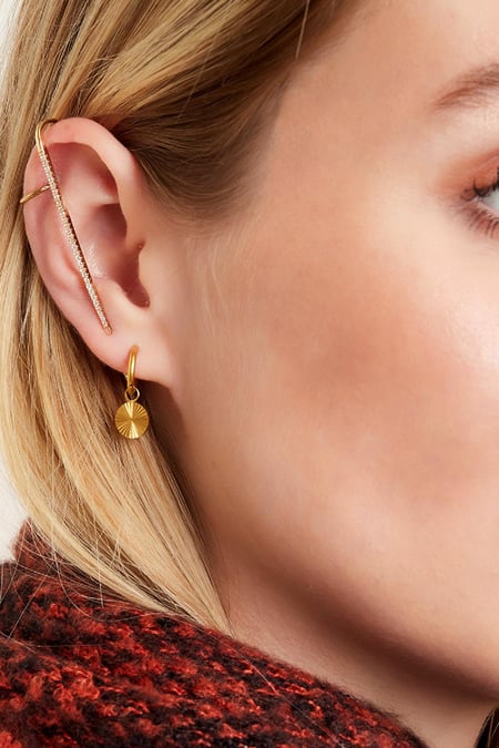 Boucles d'oreilles en acier inoxydable cercle Argenté