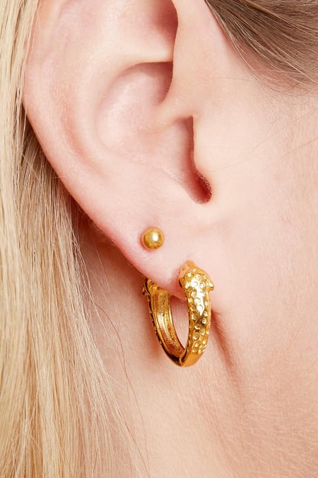 Earrings Big Dot Gold Color Stainless Steel