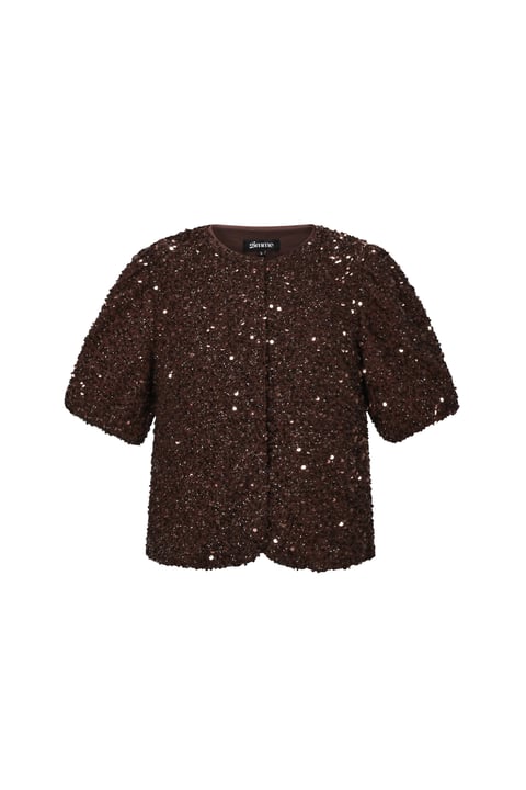 Woven Polyester Fiber Women's Short Sleeve Tops Elegant Sequins 2