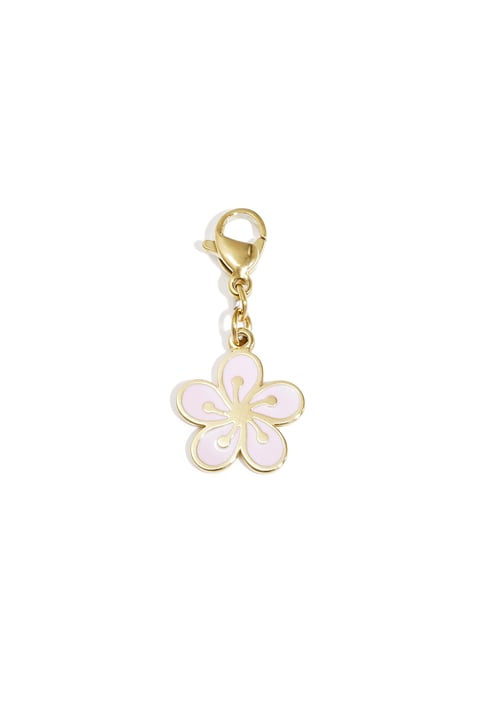 Jewelry Charms Flower Casual Daily Simple Series Women's jewelry