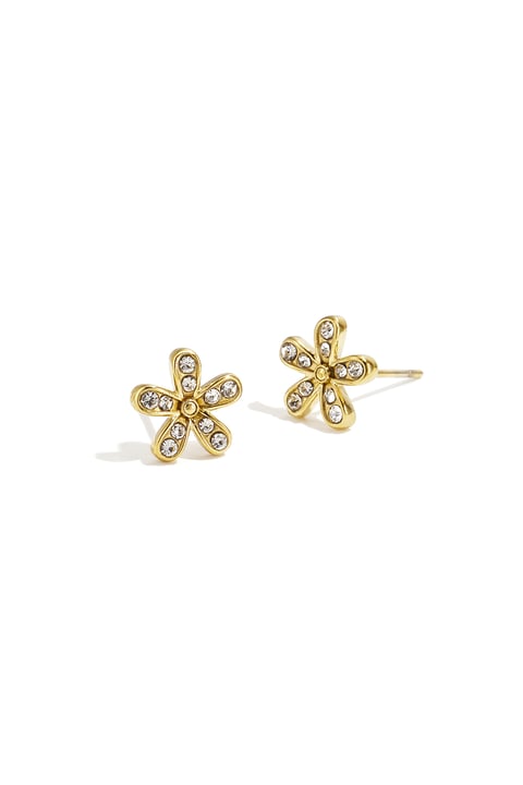 Stainless Steel Stud Earrings Flower Simple Daily Simple Series Women's jewelry 2