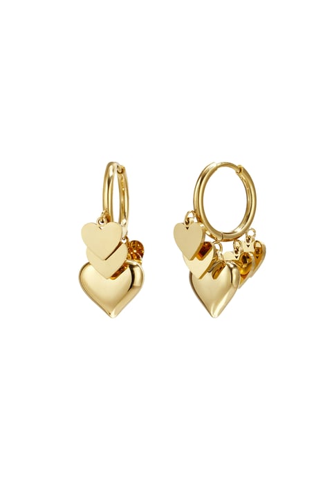 Stainless Steel Drop Earrings Heart Casual Daily Simple Series Women's jewelry 2