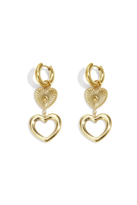 Stainless Steel Drop Earrings Heart Casual Daily Simple Series Women's jewelry 2