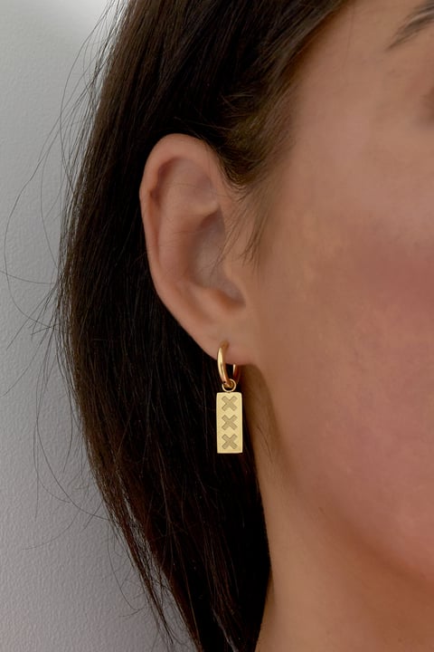 Amsterdam X earrings - Silver Color color