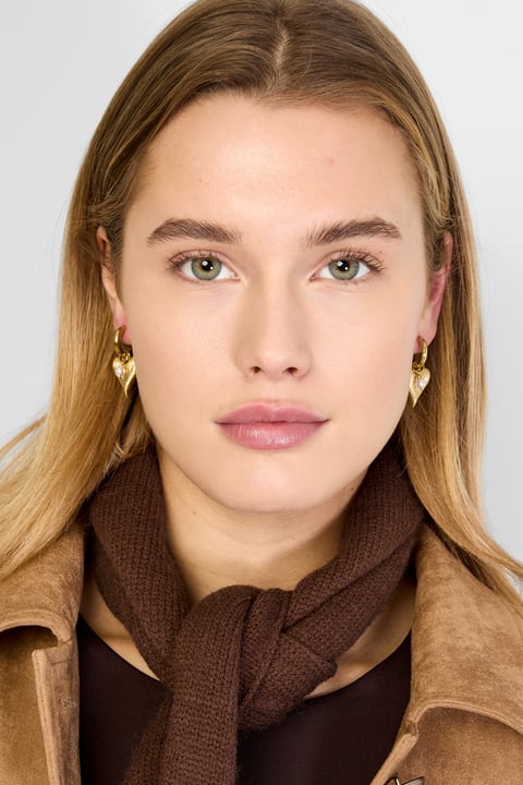 Drop Earrings Heart Casual Daily Simple Series Women's jewelry