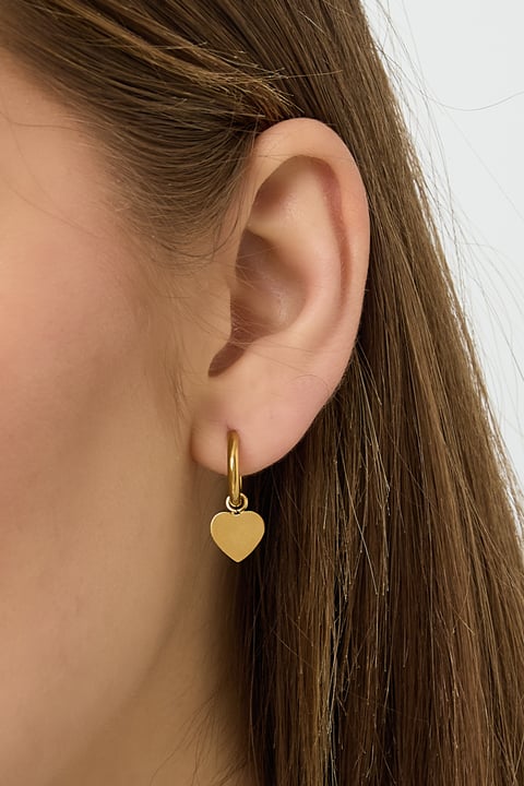 Stainless Steel Drop Earrings Heart Casual Daily Simple Series Women's jewelry
