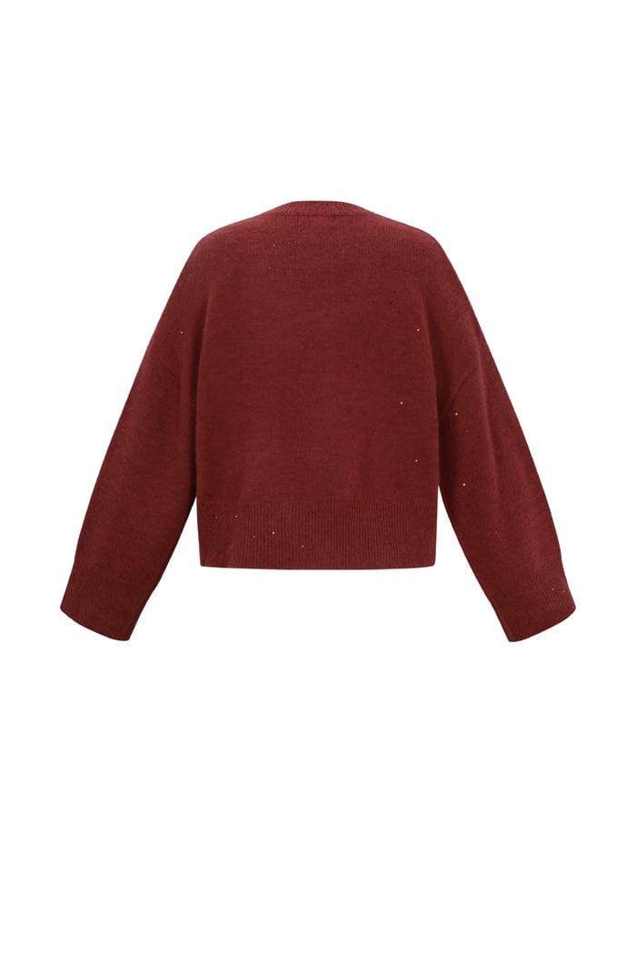 Sparkling Knit sweater h5Picture3