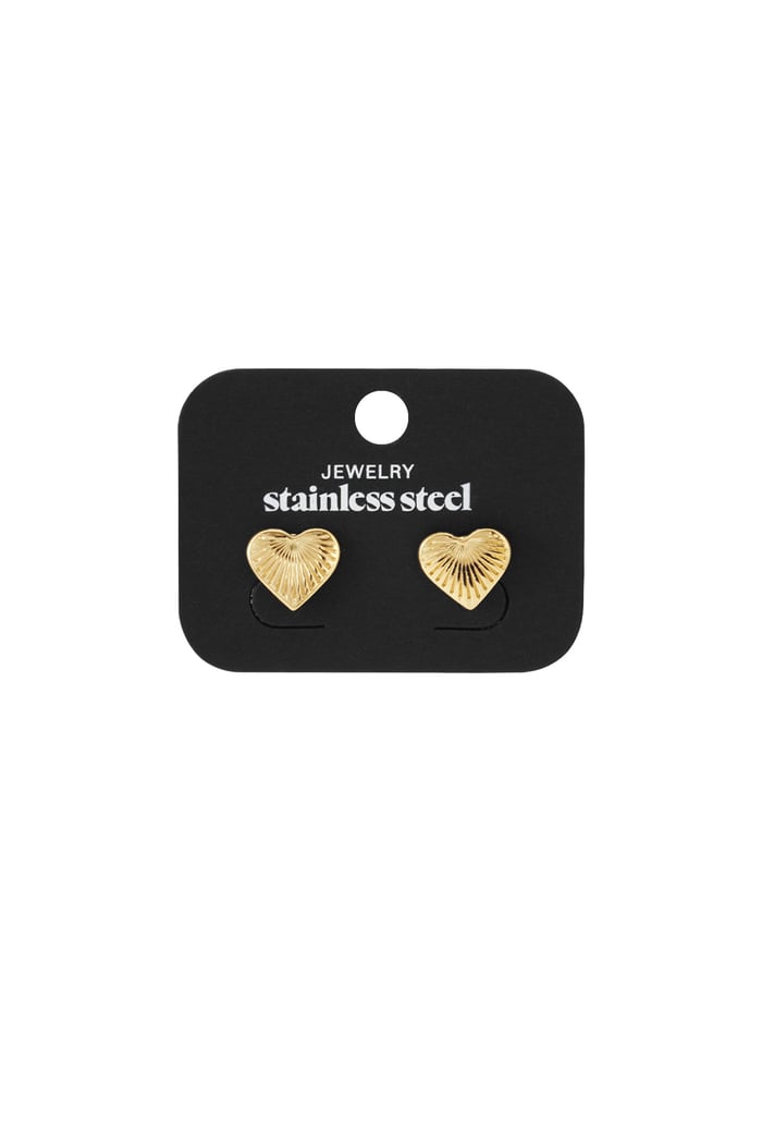 Stainless Steel Stud Earrings Heart Daily Daily Simple Series Women's jewelry h5Picture4