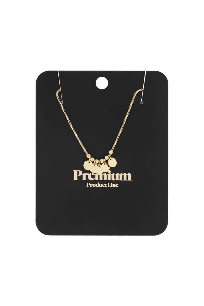 necklace hanging coins h5Picture3