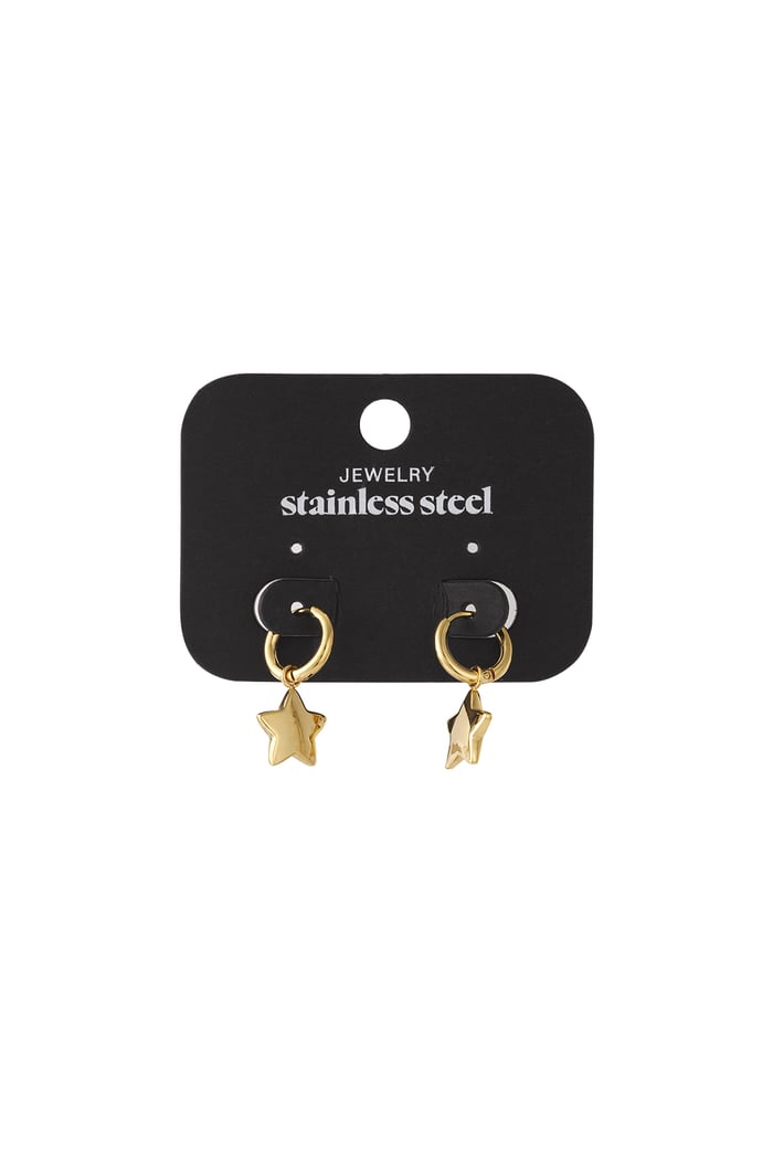 Tiny Star earrings Picture4