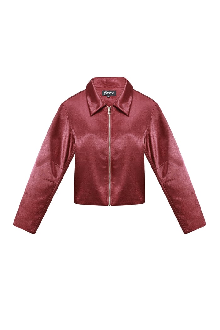 Satin Look Jacket h5Picture9