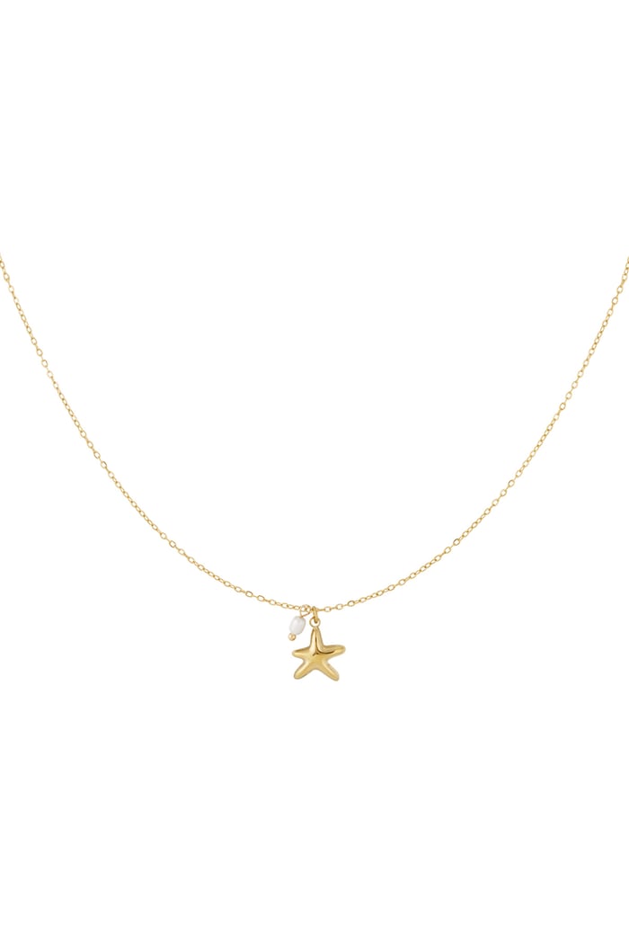 collar de estrellas de mar 