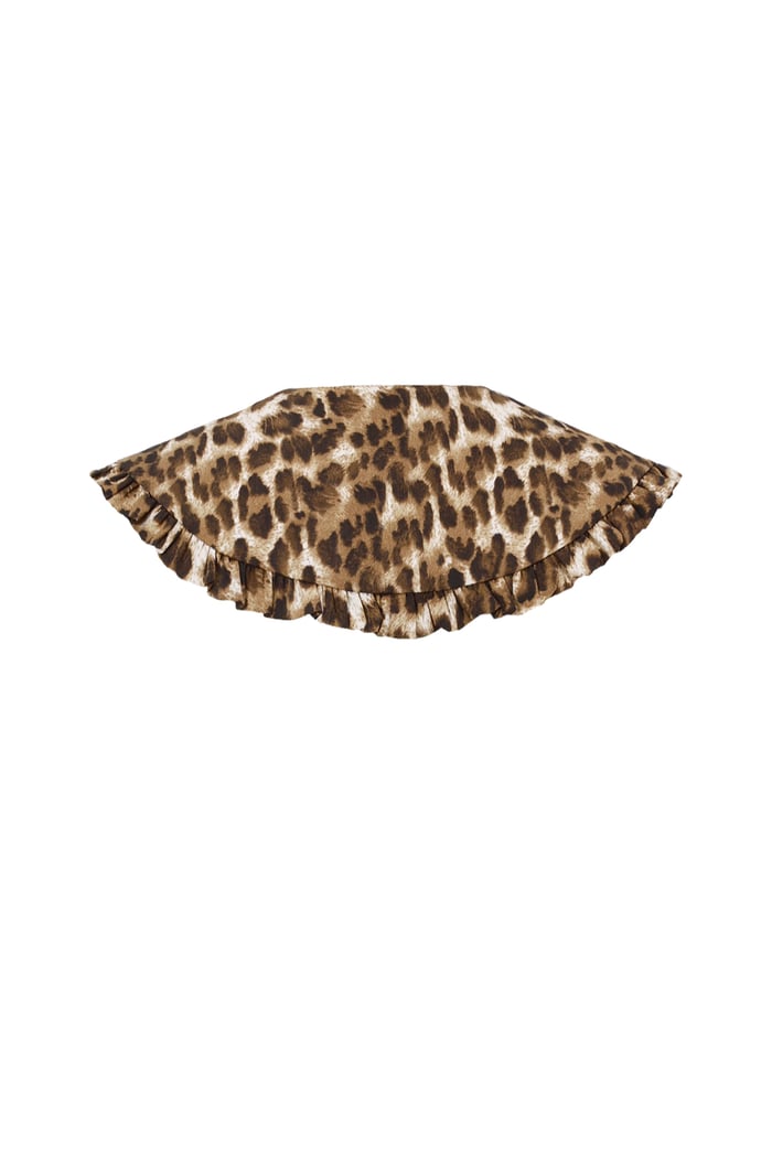 detachable collar h5Picture2