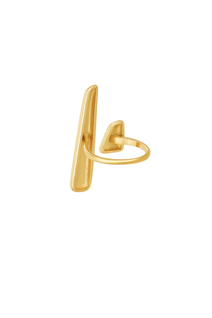 ring cut out elongated Picture4