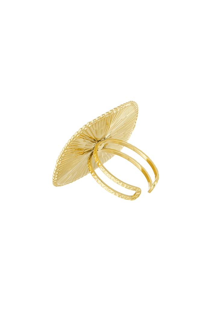 statement ring circle Picture3