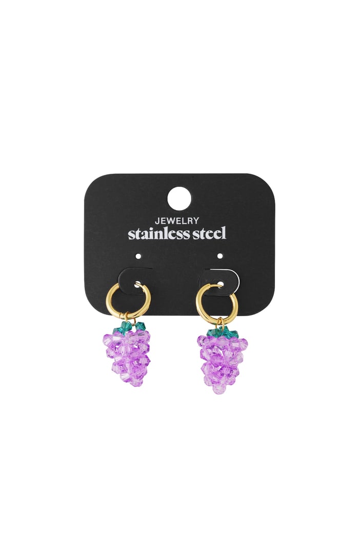 Stainless Steel Drop Earrings Plant Casual Daily Simple Series Women's jewelry h5Picture4