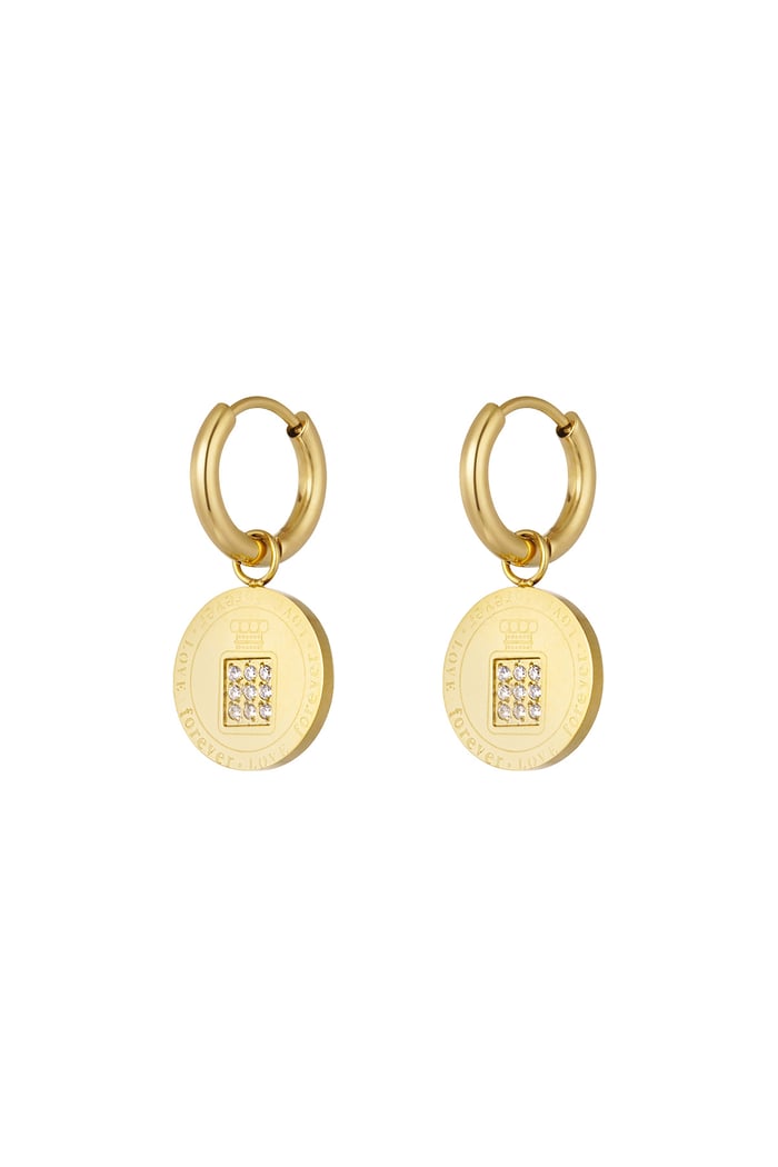 earrings round coin stones