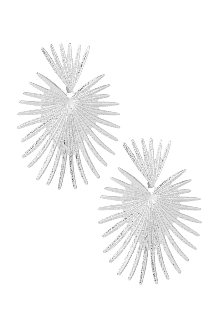 Earrings radiant - Silver Color color