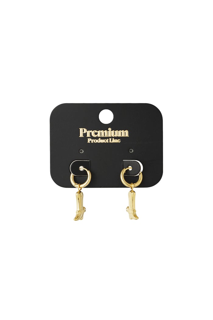cowboy earrings h5Picture3