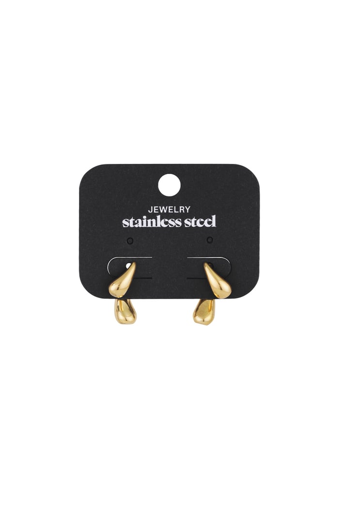 classy earrings h5Picture3