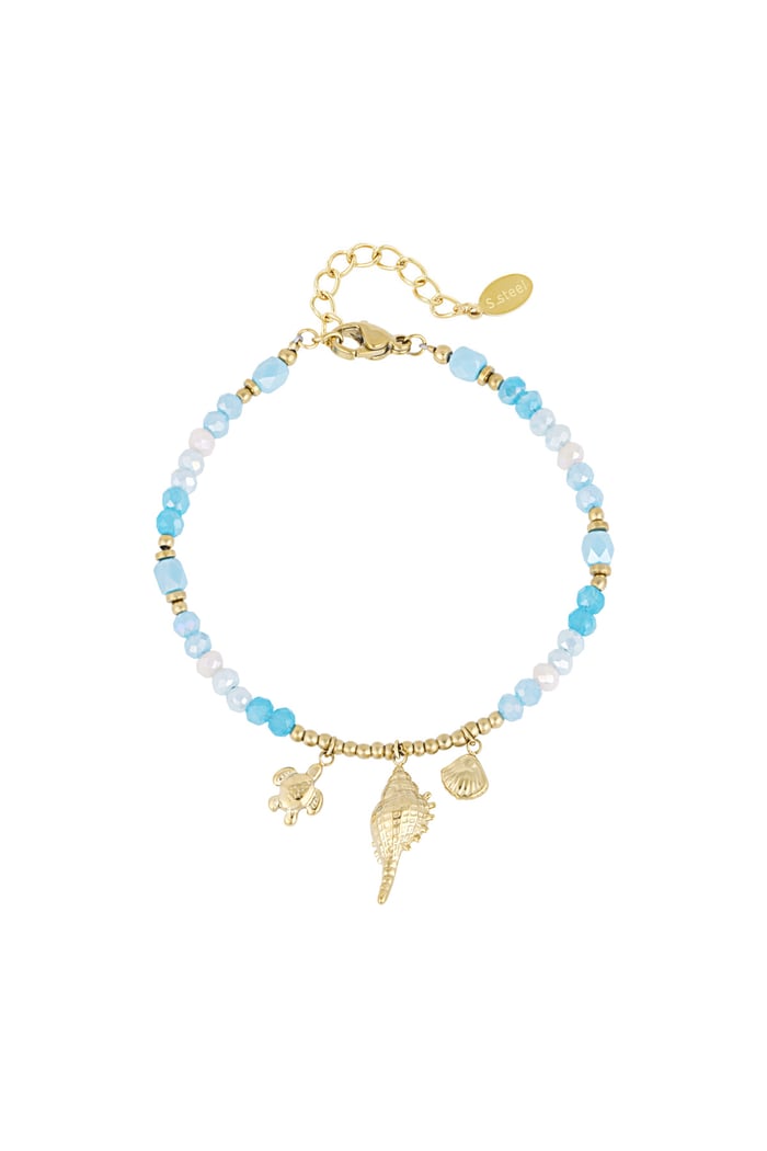 bracelet shell show 