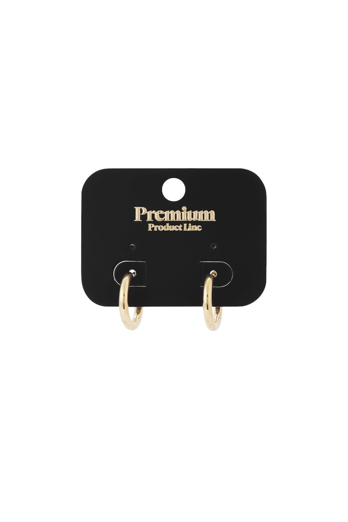 Creoli semplici XL Gold Stainless Steel Immagine5