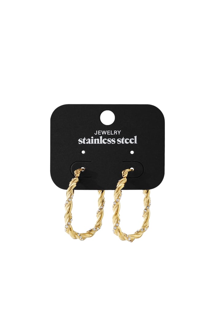 Twisted Sparkle Hoop earrings h5Picture4