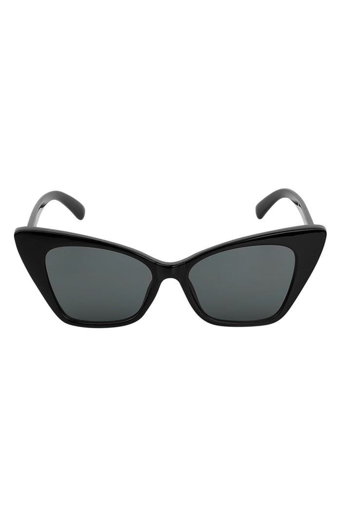 Sunglasses monochrome frame h5Picture7